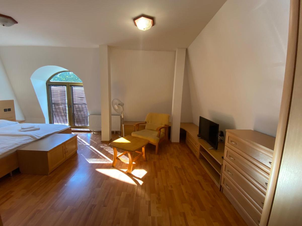 Hotel David Velke Bosany Экстерьер фото
