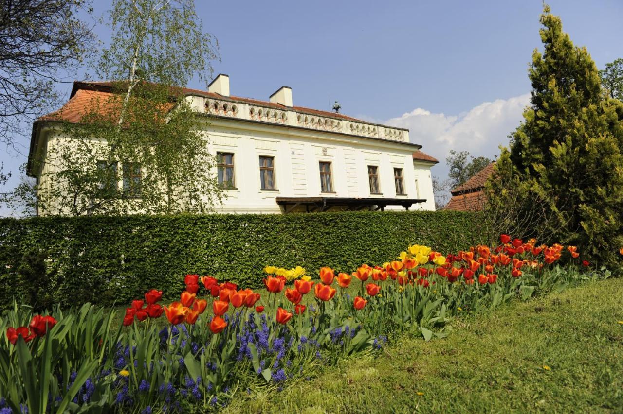 Hotel David Velke Bosany Экстерьер фото