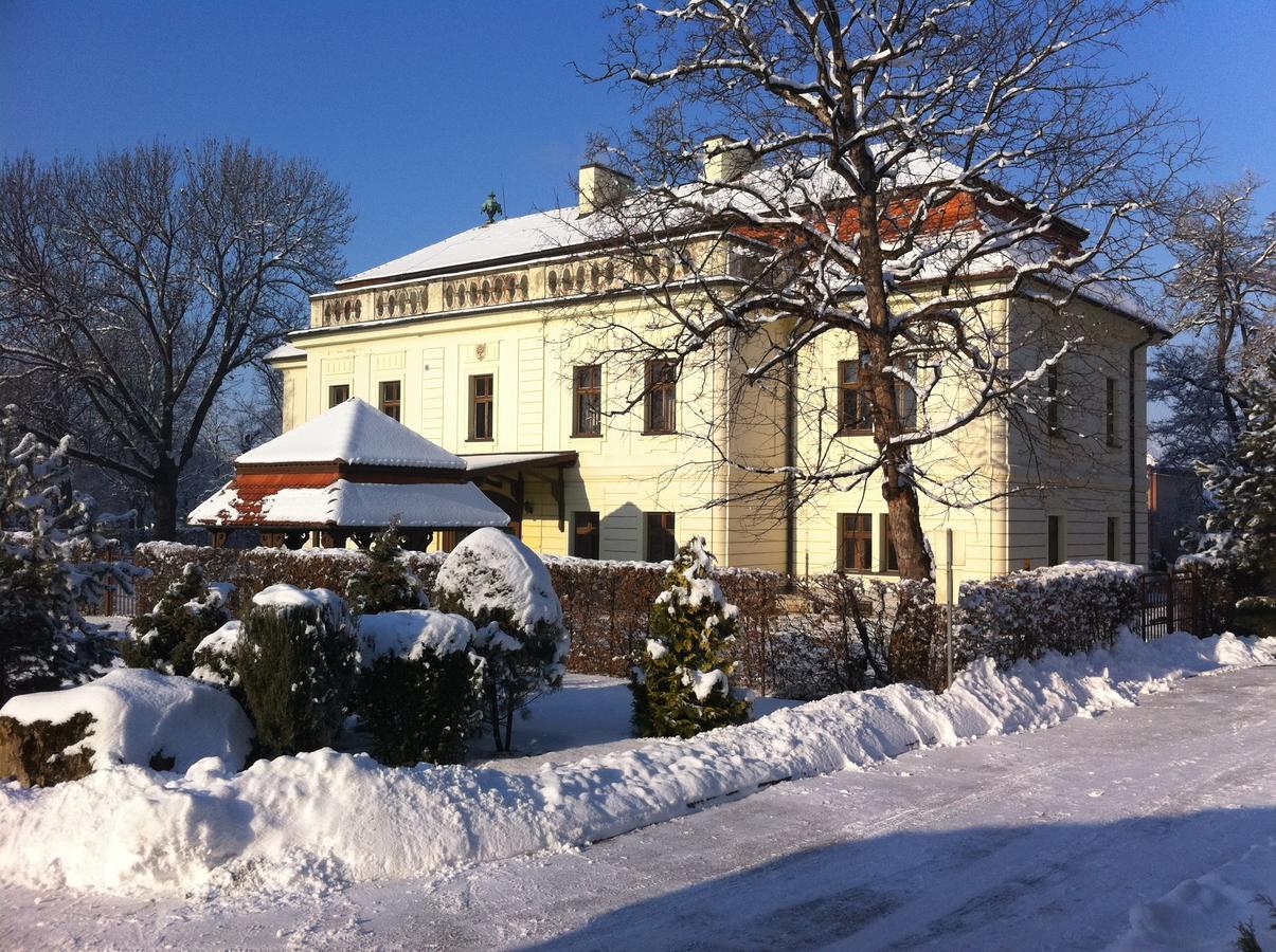 Hotel David Velke Bosany Экстерьер фото