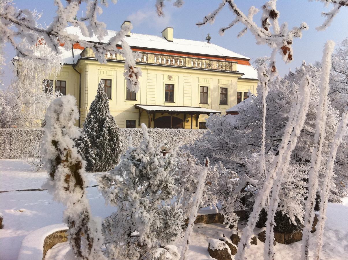 Hotel David Velke Bosany Экстерьер фото